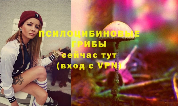 прущие крисы Богданович